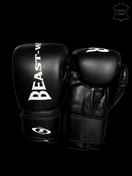 Competition - Boxhandschuhe